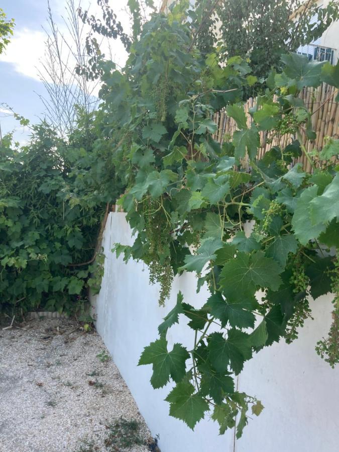 Quetzal Apartment Perpignan Exterior photo